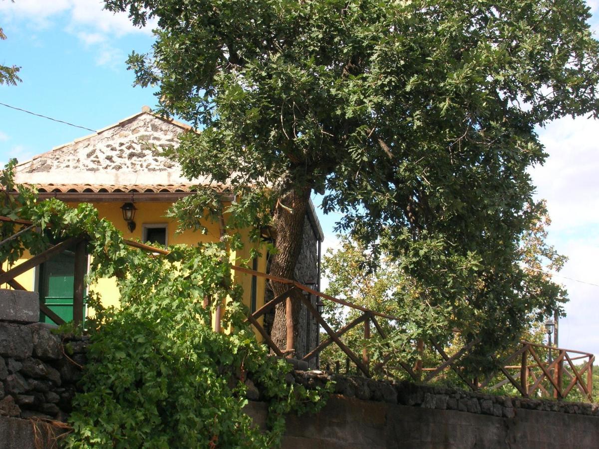 Holiday home Casa Vacanza La Papuzza Mare E Etna Mascali