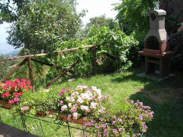 Casa Vacanza La Papuzza Mare E Etna Holiday home Mascali