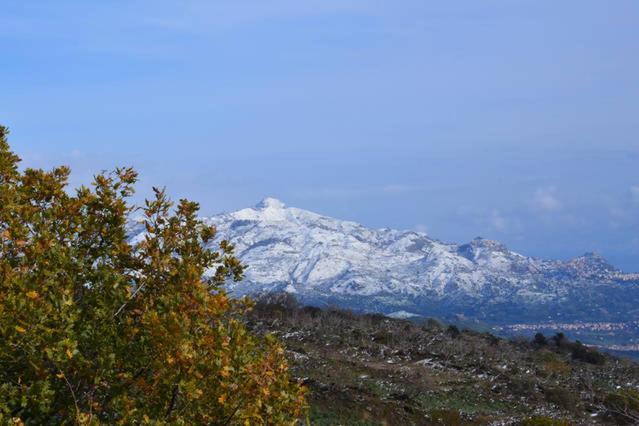 Casa Vacanza La Papuzza Mare E Etna Holiday home *