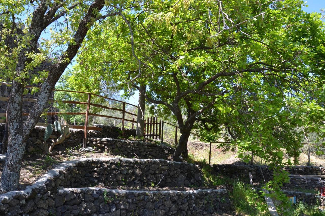 Casa Vacanza La Papuzza Mare E Etna Holiday home Mascali