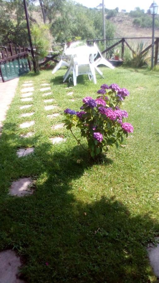 Holiday home Casa Vacanza La Papuzza Mare E Etna *
